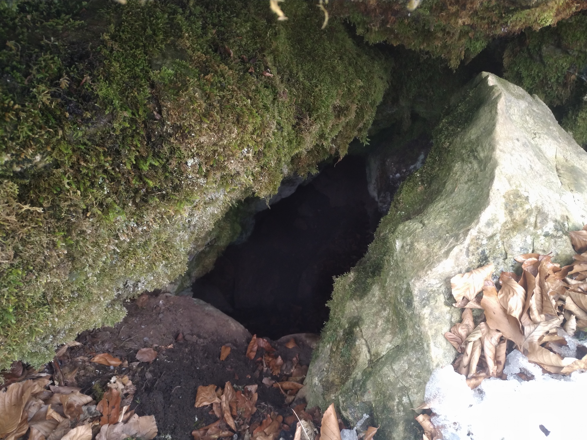 Avenul Vechi - Image 2